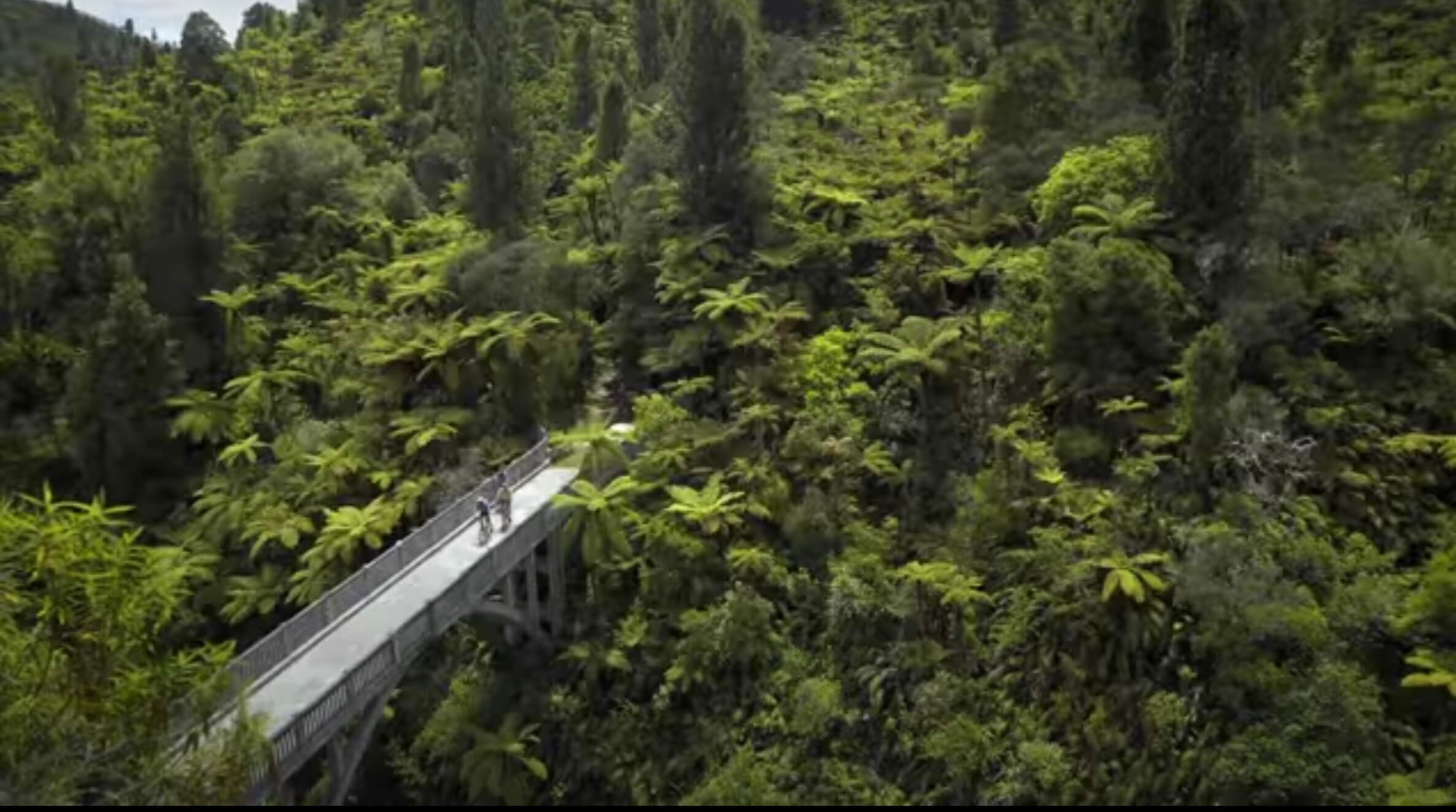 Mountains to Sea Trail